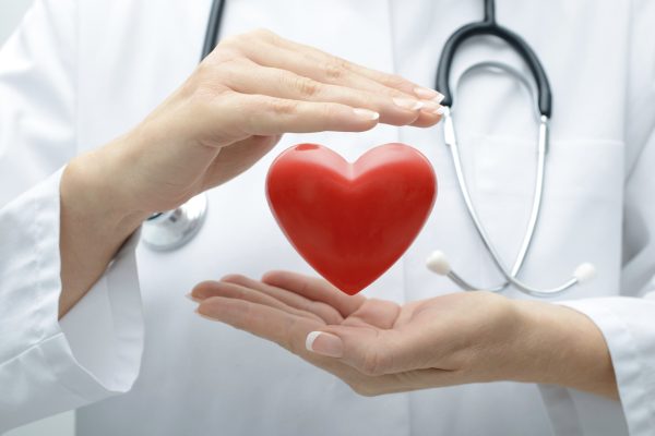 Doctor holding heart